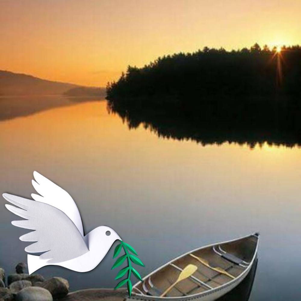 Meet your Posher, Lucie